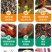 小龙虾饲料，膨化料