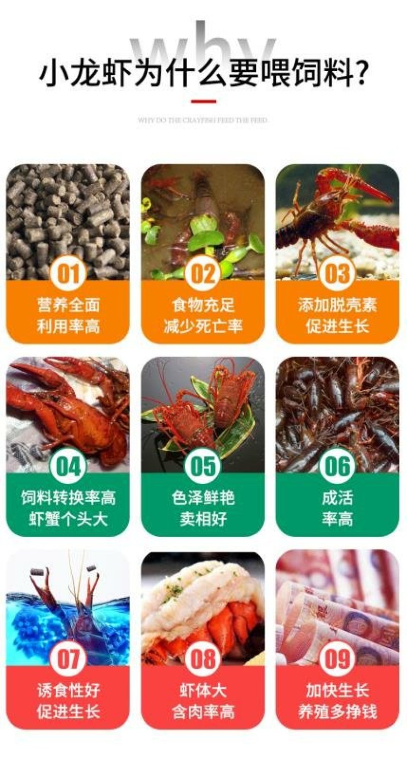 小龙虾饲料，膨化料