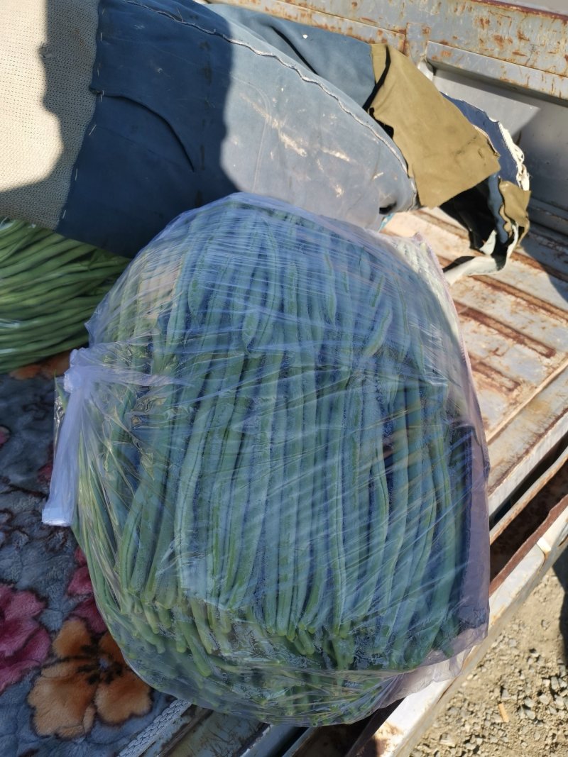 豆王