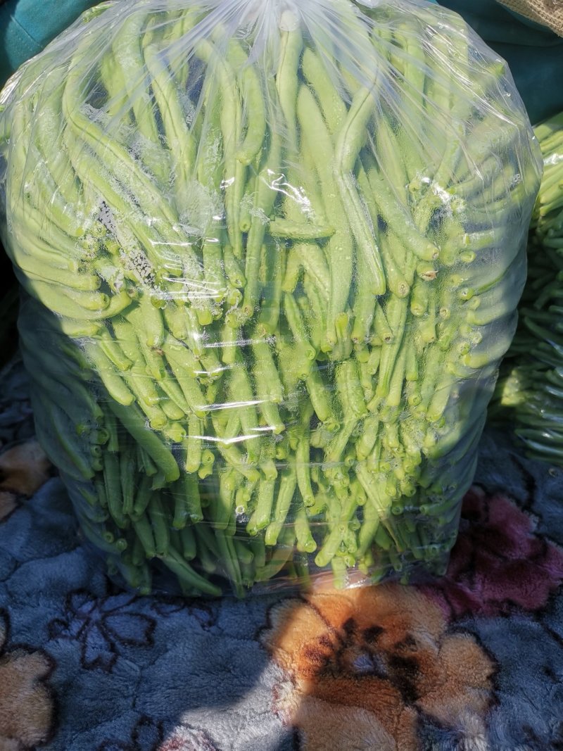 豆王
