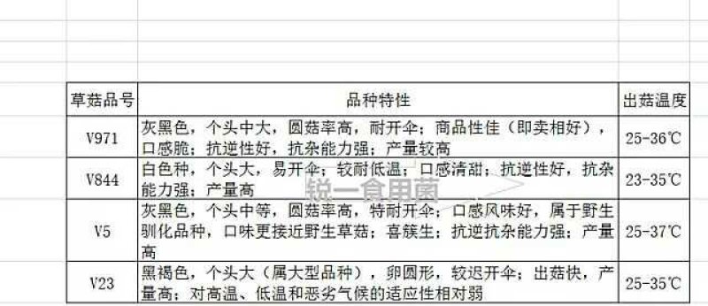 食用菌草菇栽培技术培训班常年招生