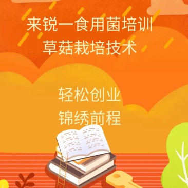 食用菌草菇栽培技术培训班常年招生