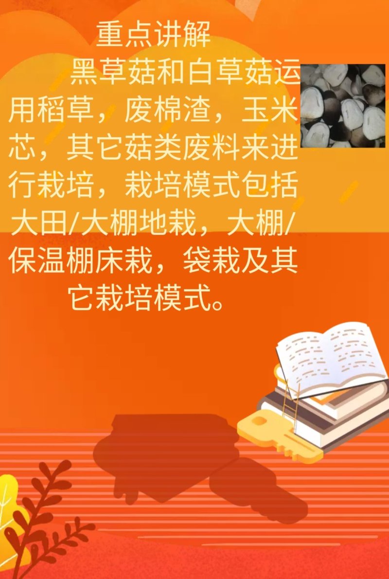 食用菌草菇栽培技术培训班常年招生