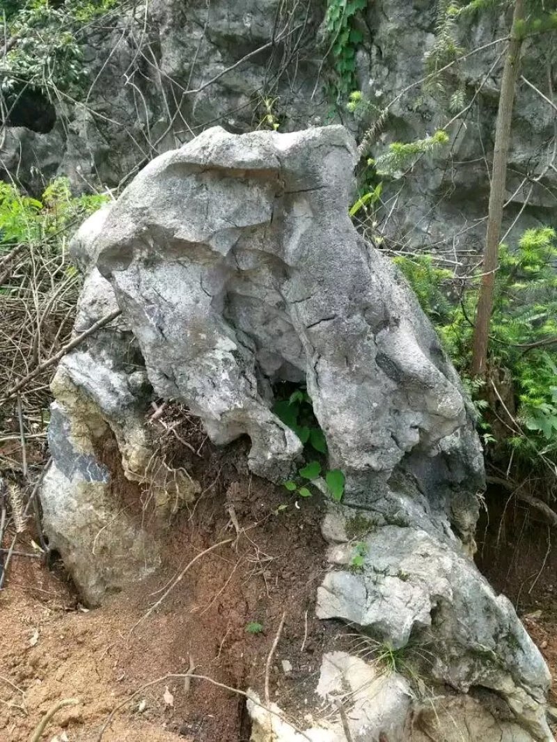 太湖石，景观石，草坪石大量供应！！！！！！！！