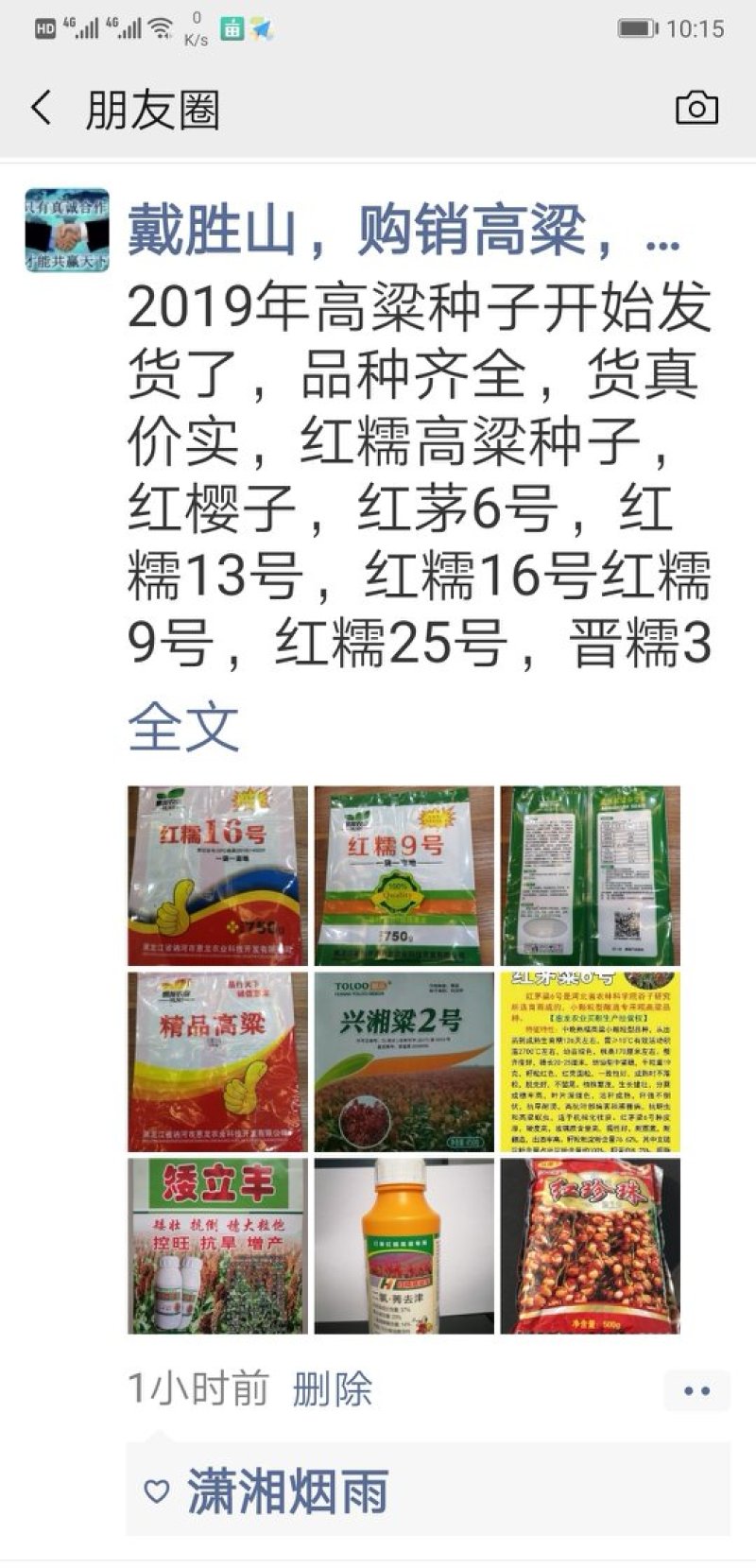 供应各种糯高粱种子