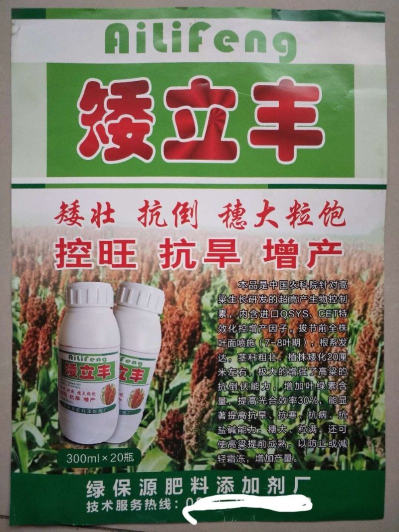 供应各种糯高粱种子
