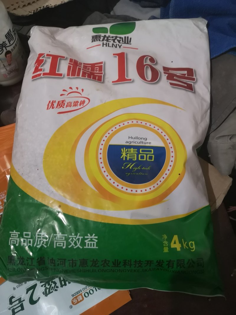 供应各种糯高粱种子