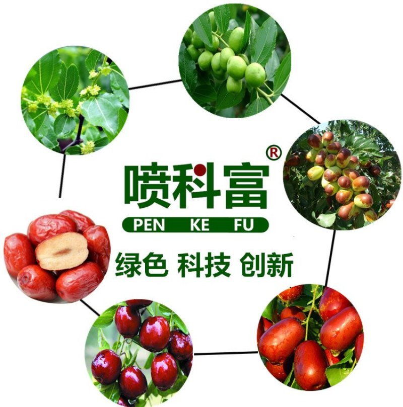 喷科富枣树专用叶面肥红枣灰枣保花保果着色增甜剂增产膨大素
