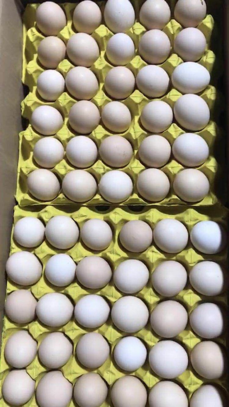 粉蛋食用50~60g