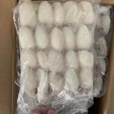 墨鱼仔规格20/4040/6060/80