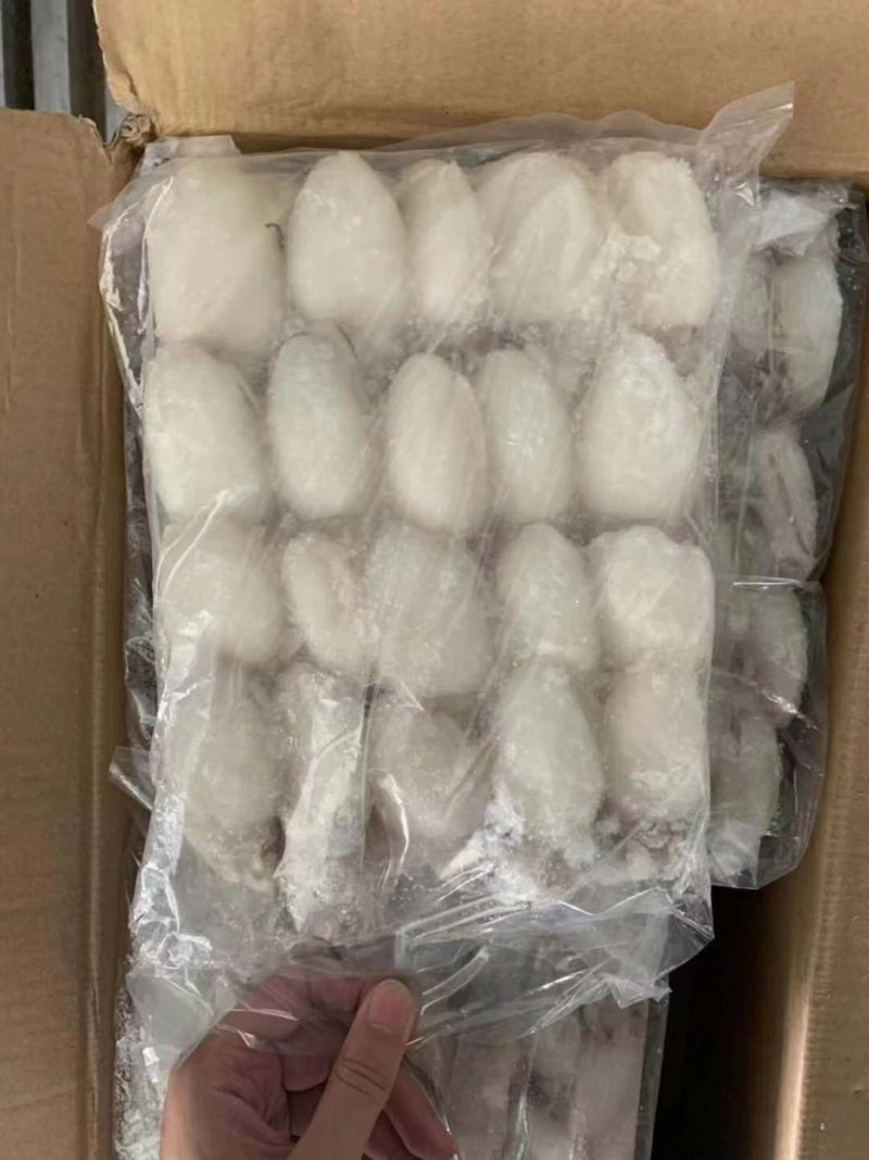 墨鱼仔规格20/4040/6060/80