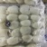 墨鱼仔规格20/4040/6060/80