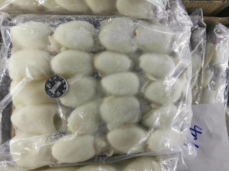 墨鱼仔规格20/4040/6060/80