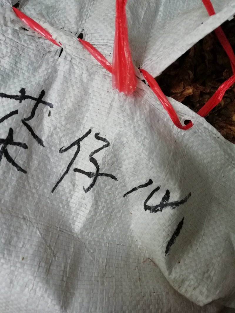 细茶仔心