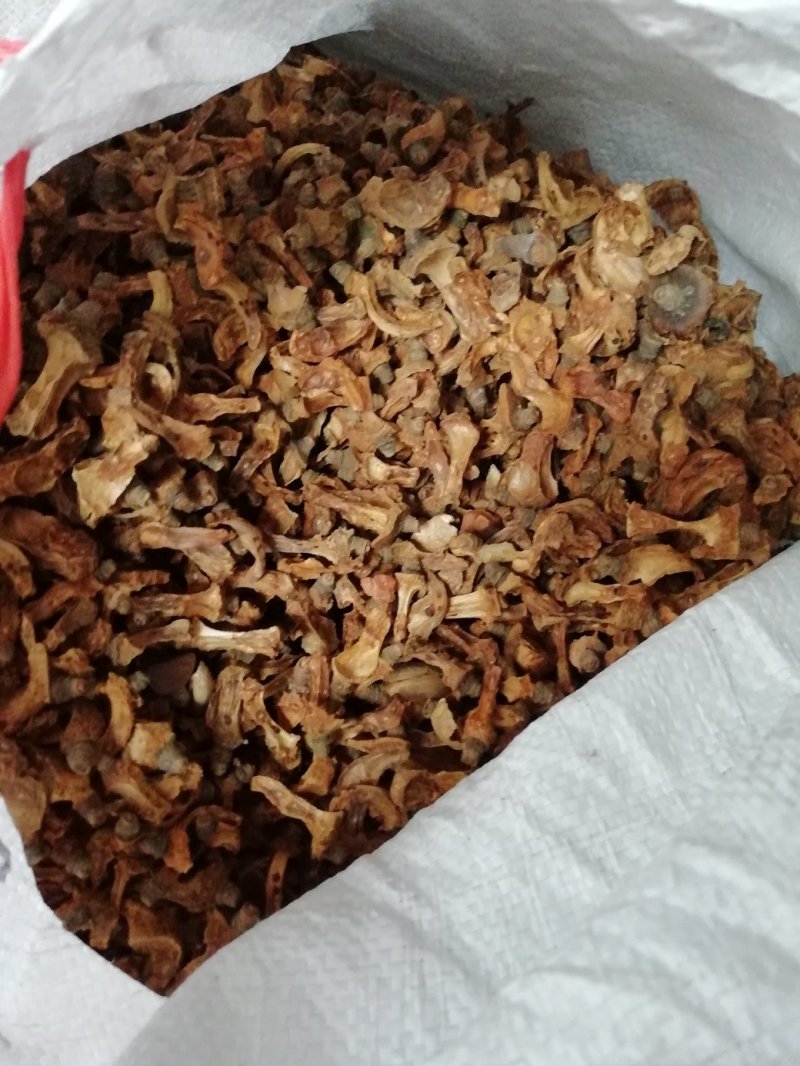 细茶仔心