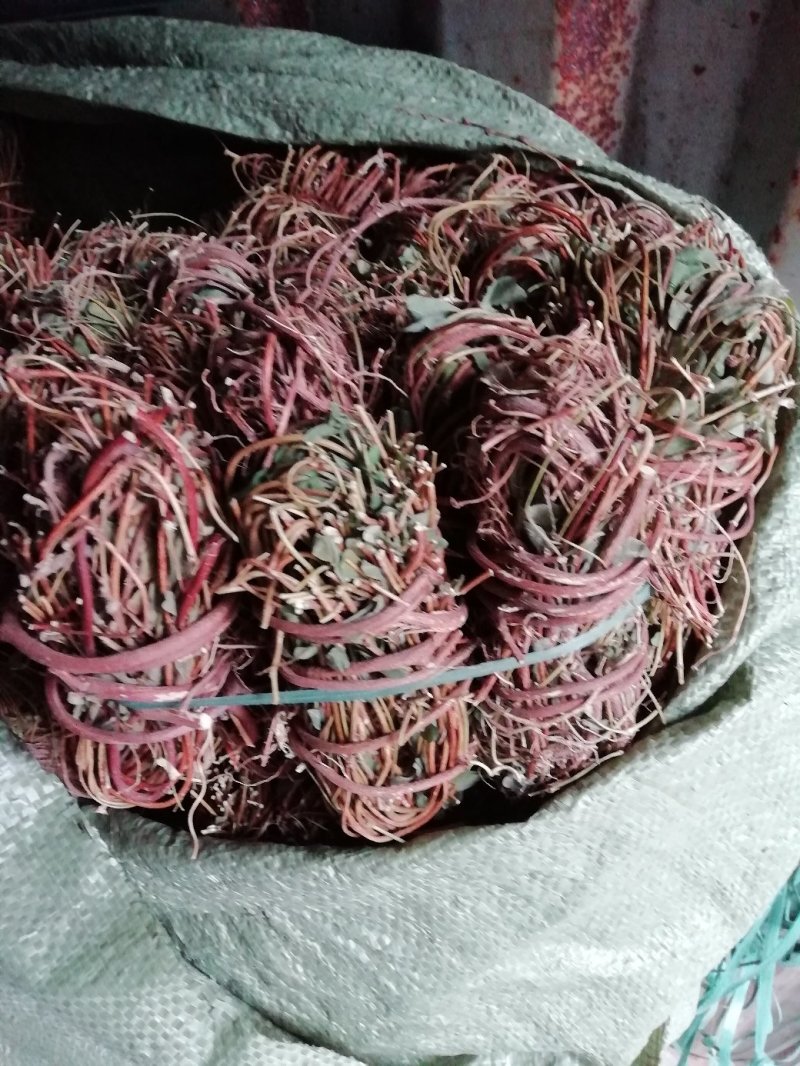 鸡骨草