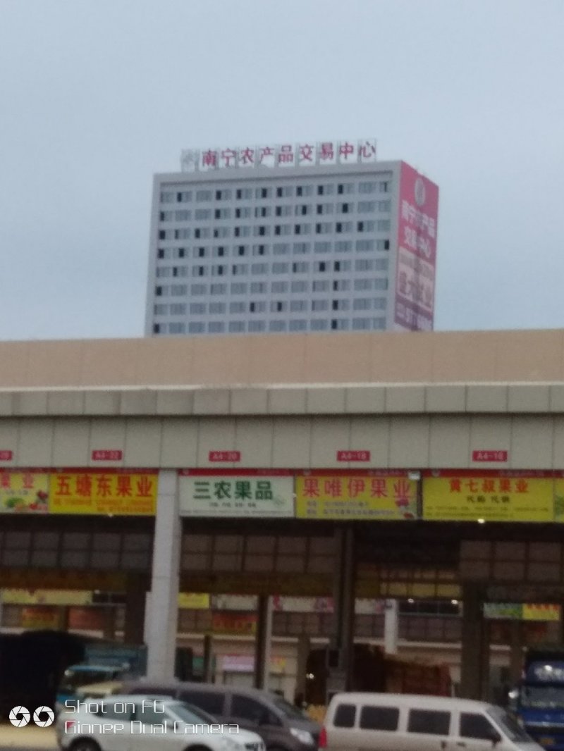 河北雪花梨