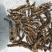 贵州铜仁深山老林野生冬虫夏草干品新鲜虫草生货产地直发