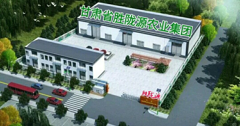 沙枣种子沙枣苗子沙枣种抗旱固沙植物种子绿植
