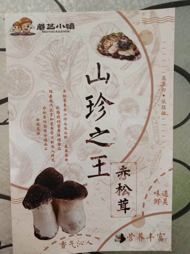 大球盖菇