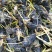 荷花芦苇香蒲人工浮岛等各种水生绿植