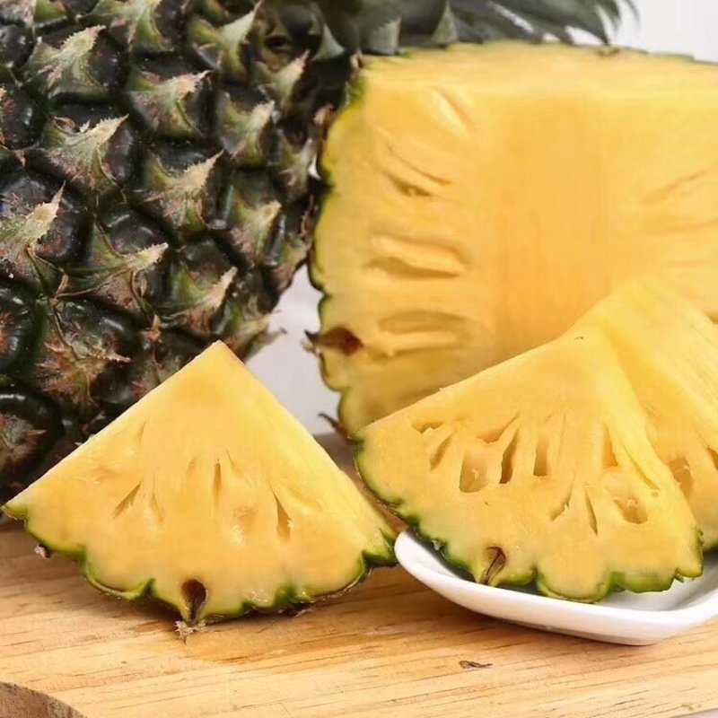 版纳金钻凤梨，，，，，，，，，，，，，，。，，，