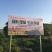 常年出售散养大公鸡母鸡