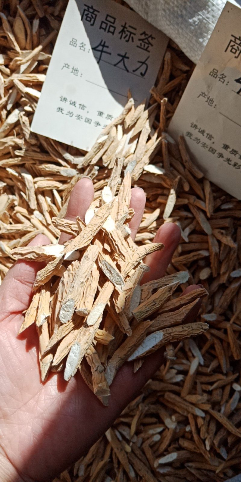 牛大力牛大力干货批发零售各种规格中药材批发