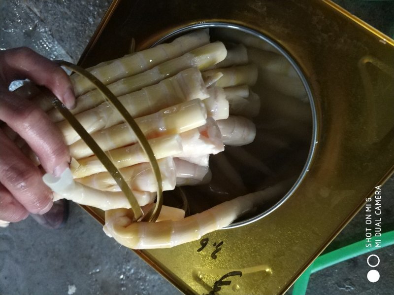 小竹笋小竹笋罐头