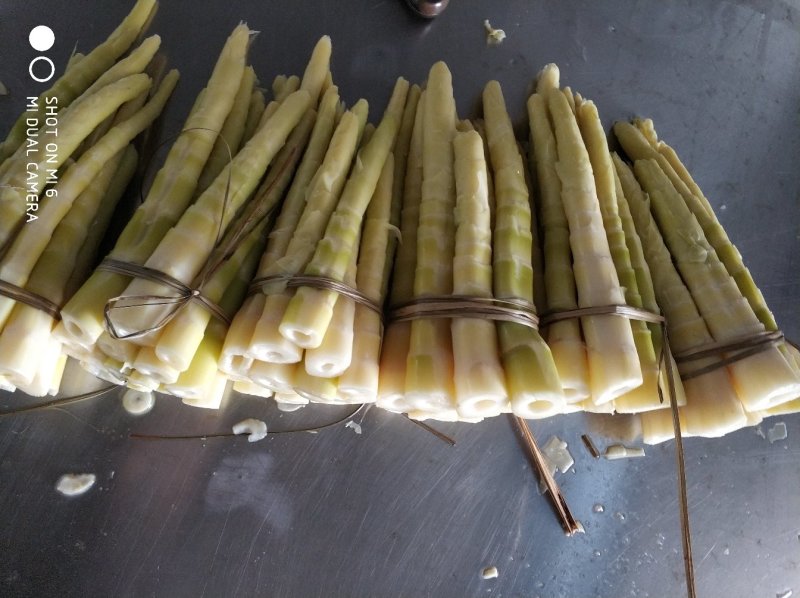 小竹笋小竹笋罐头