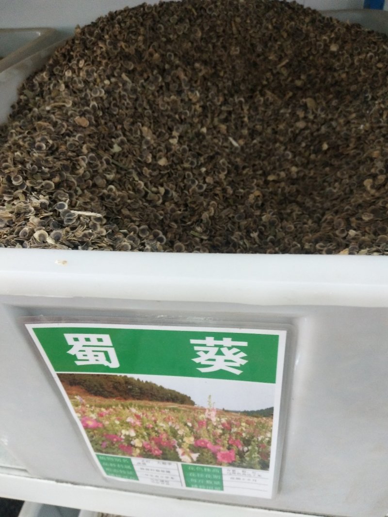 蜀葵种子重瓣花海种子可开发票可货到付款