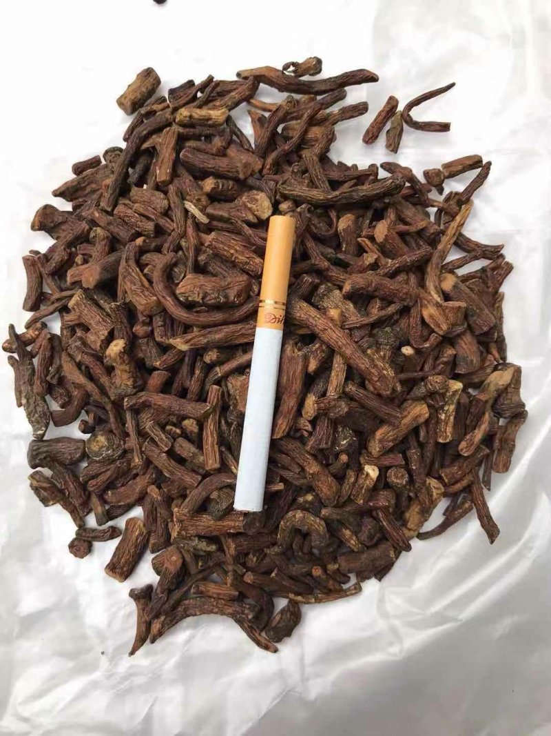 蒲公英根茶