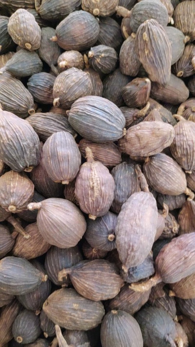 草果批发零售质优价廉