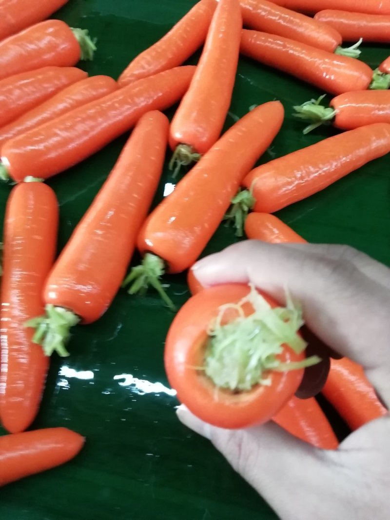 鲜苗精品中条胡萝卜现货供应两条分拣线各种规格
