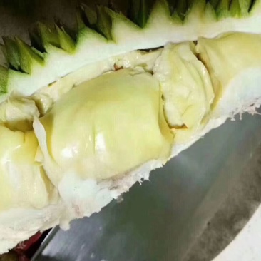 干尧，一级