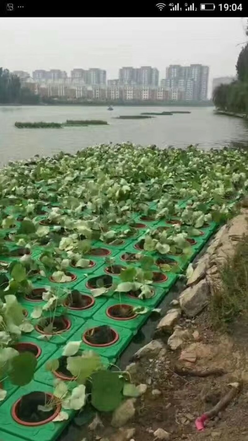 人工浮岛