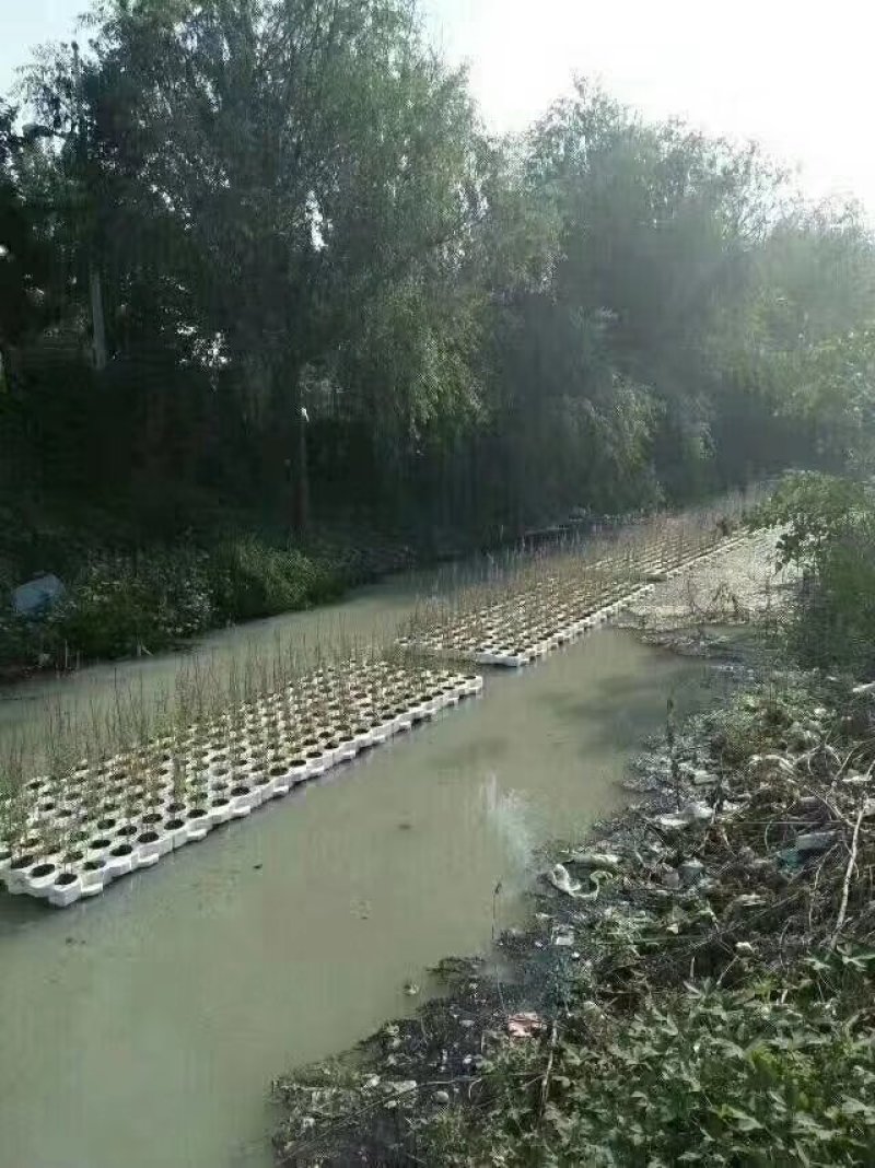 人工浮岛