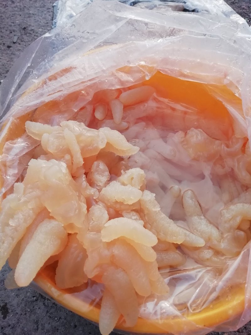 海蜇头～八爪蛰新货可视看货酒店精美凉菜，全国发货