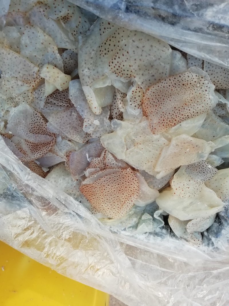 海蛰～海蜇丝～花海蜇丝～花海蛰皮