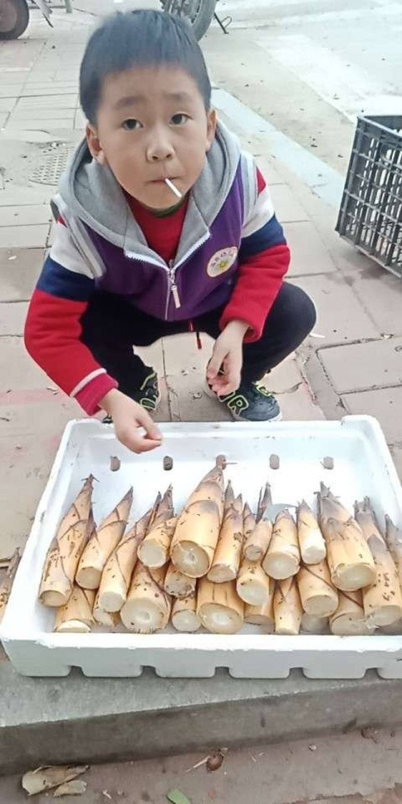 德庆富笋，肉质清甜，鲜美