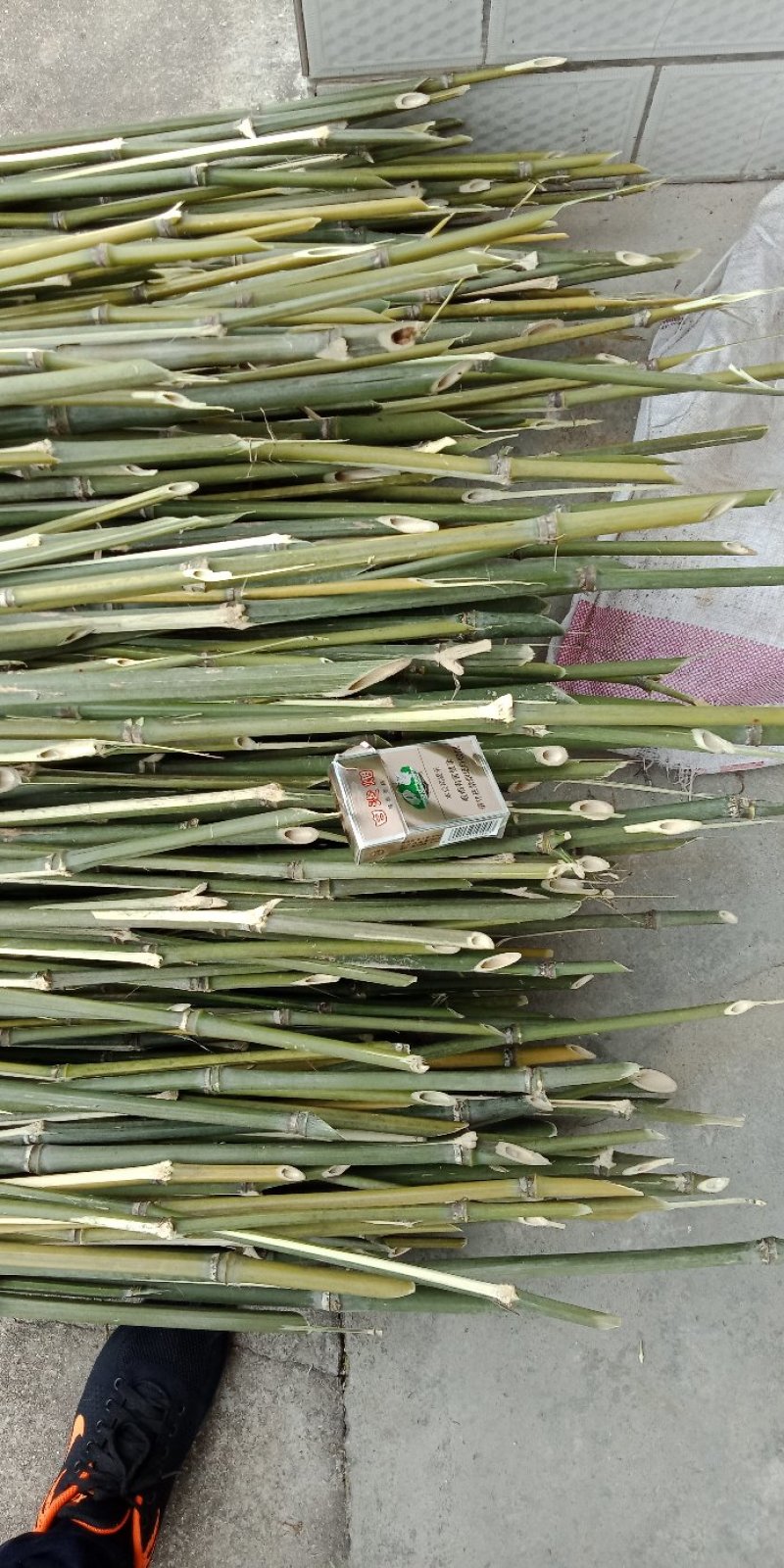 2.4米菜架竹30根/捆(包上车)