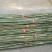 2.4米菜架竹30根/捆(包上车)