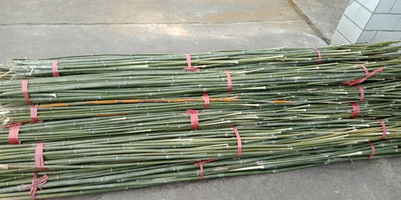 2.4米菜架竹30根/捆(包上车)