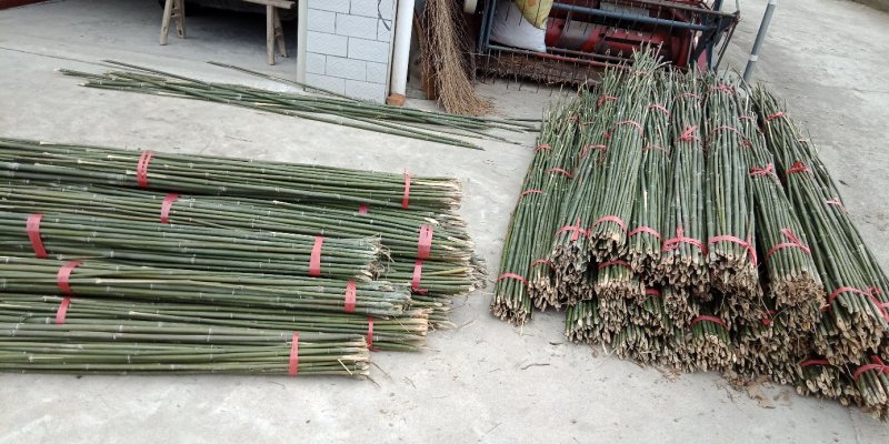 2.4米菜架竹30根/捆(包上车)