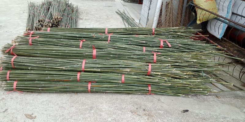 2.4米菜架竹30根/捆(包上车)