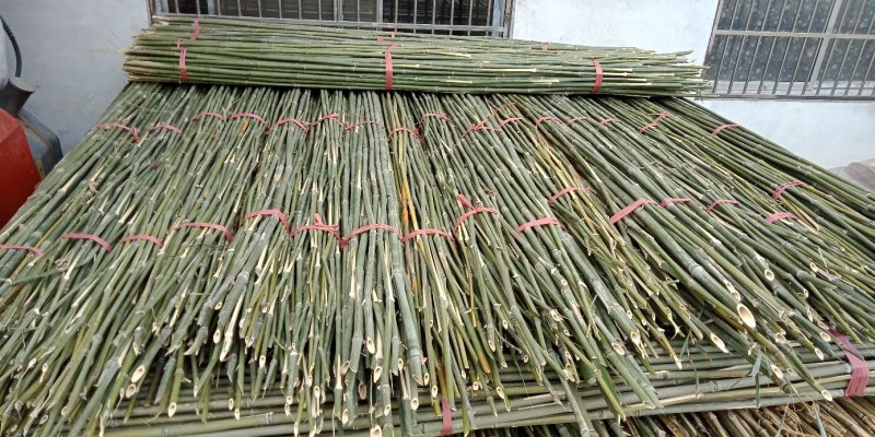 2.4米菜架竹30根/捆(包上车)