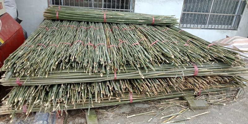 2.4米菜架竹30根/捆(包上车)