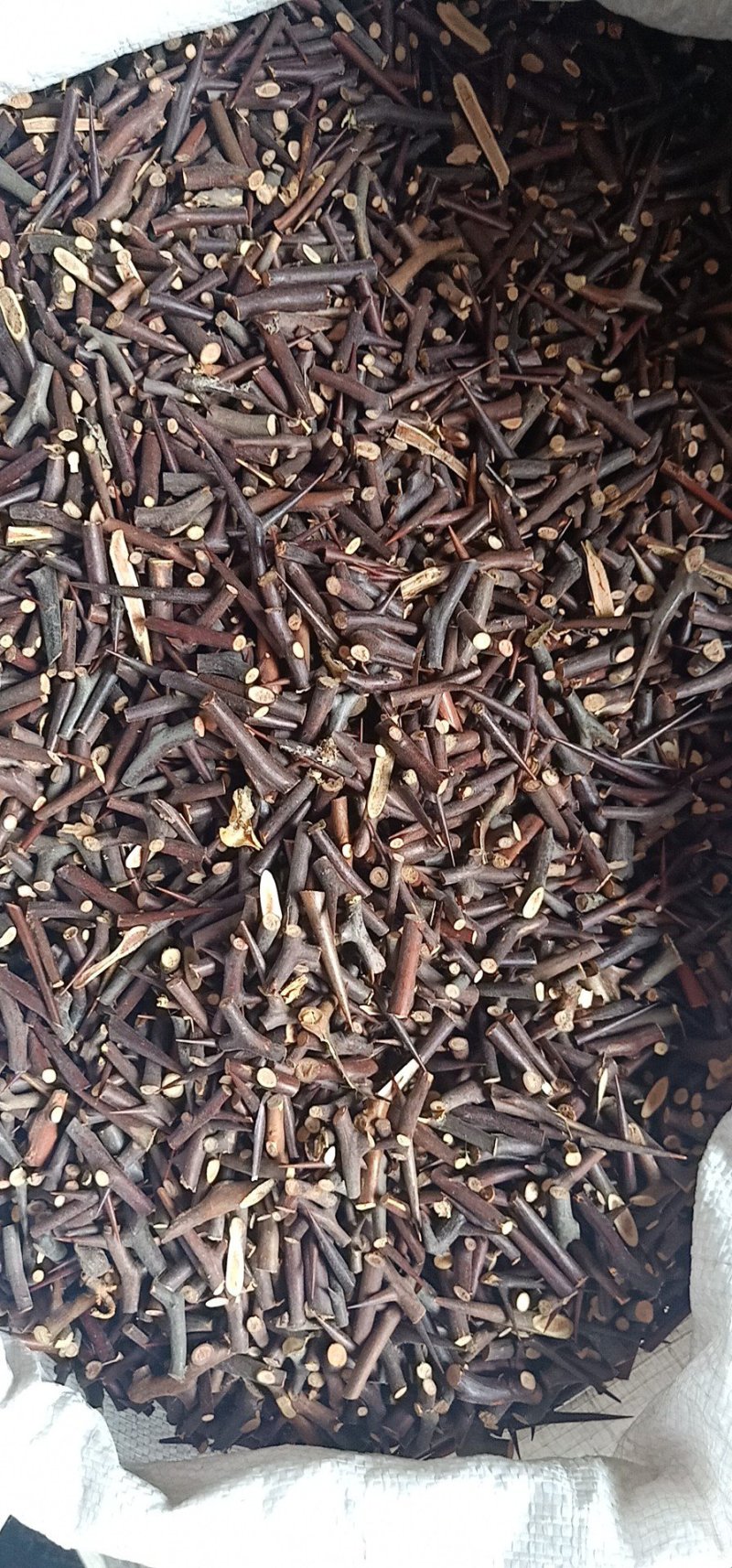 皂刺中药材皂角刺中草药皂荚刺天丁皂针油性红中刺