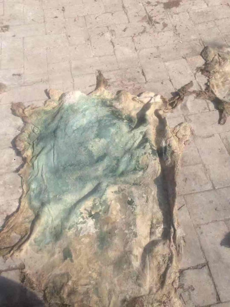 羊皮兰板制革精品