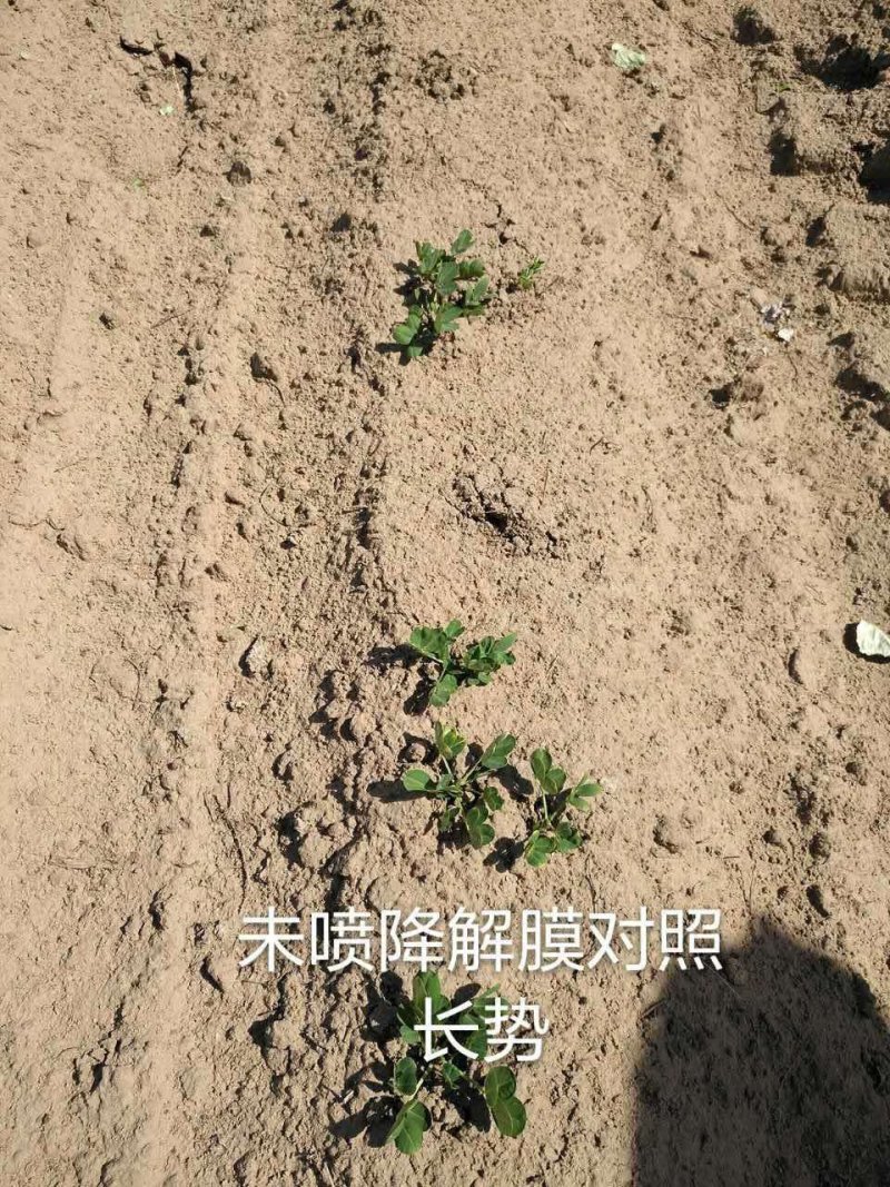 甲壳素水溶肥，甲壳素液体地膜。